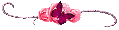 Leptir